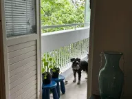 Izdavanje, dvosoban stan, 55m², Zemun Sve Podlokacije, Beograd - image 10