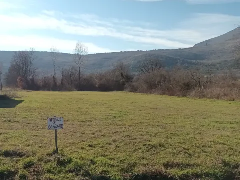 Prodaja, plac, 2933m², Beri, Podgorica - image 3