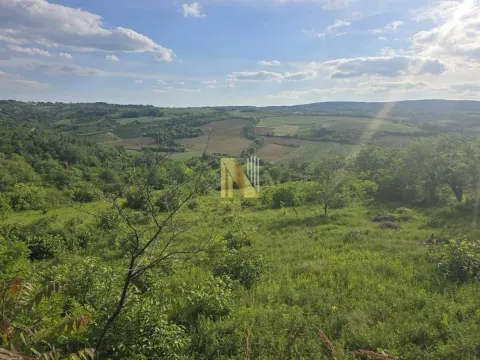 Sale, land lot, 4200m², Sremski Karlovci, Novi Sad - image 5