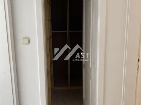 Izdavanje, poslovni prostor, 350m², Nova Detelinara, Novi Sad Sve Podlokacije - image 5