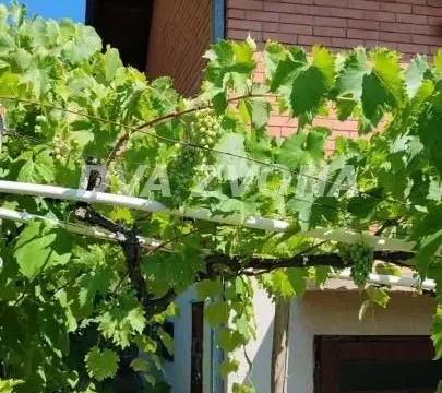 Sale, house, 66m², Irig, Srbija - image 22