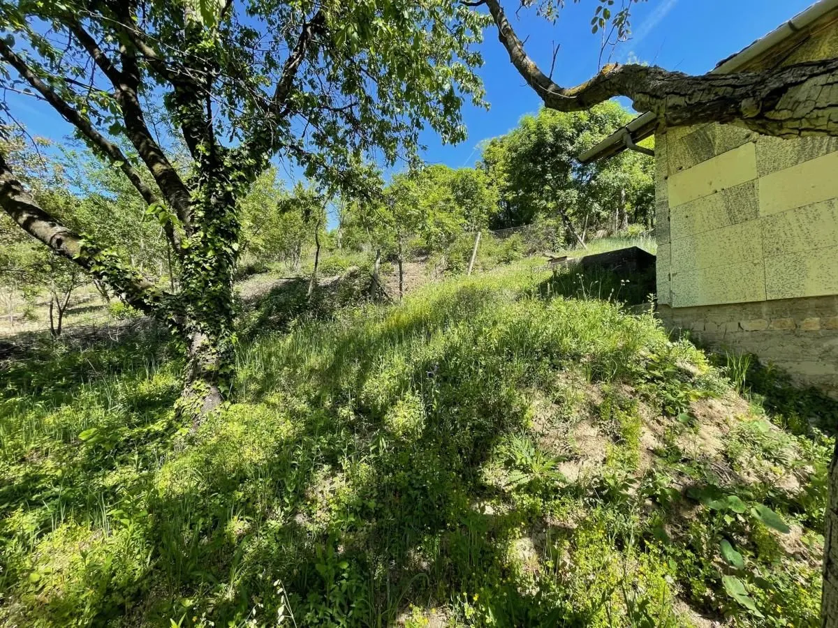 Prodaja, kuća, 80m², Sremska Kamenica, Petrovaradin