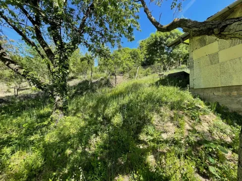 Prodaja, kuća, 80m², Sremska Kamenica, Petrovaradin - image 7