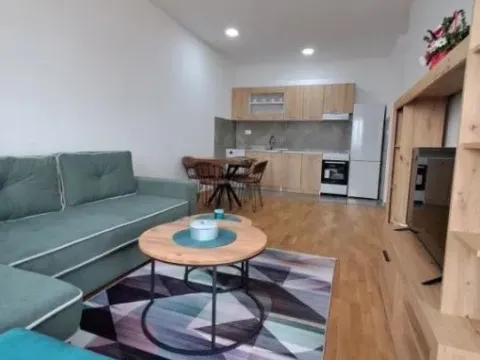 Izdavanje, jednosoban stan, 45m², Zabjelo, Podgorica - image 3