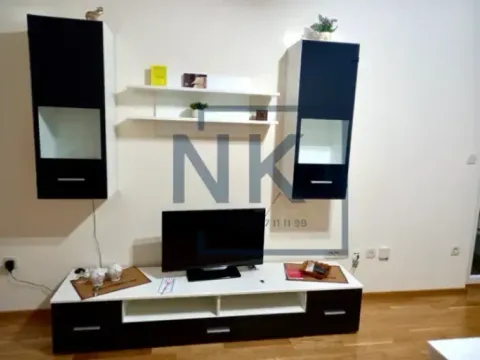 Izdavanje, jednosoban stan, 45m², Zagorič, Podgorica - image 5