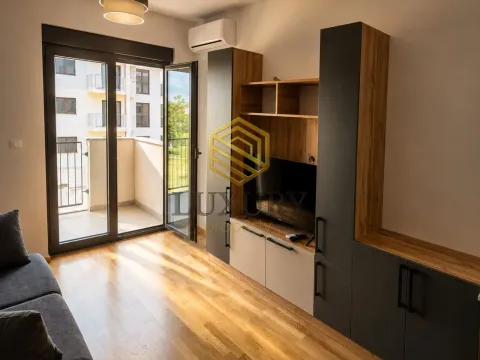 Rent, studio apartment, 25m², Zabjelo, Podgorica - image 3