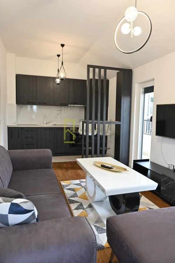 Izdavanje, jednosoban stan, 50m², Zagorič, Podgorica