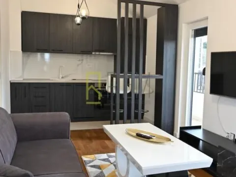 Rent, one bedroom apartment, 50m², Zagorič, Podgorica