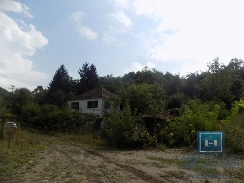 View of an old house surrounded by nature and greenery.