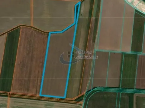 Prodaja, plac, 54000m², Zemun Ugrinovci, Zemun Sve Podlokacije - image 2