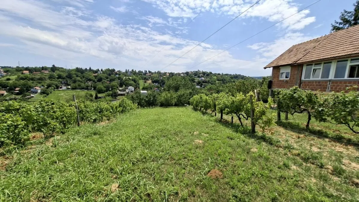Prodaja, plac, 3000m², Bocke, Petrovaradin