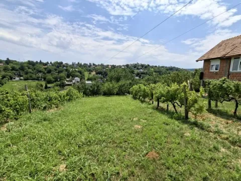 Prodaja, plac, 3000m², Bocke, Petrovaradin - image 6