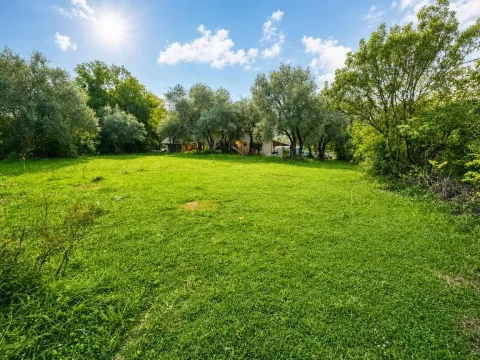 Veliko travnato dvorište sa drvećem i pogledom na kuću u pozadini. - image 2