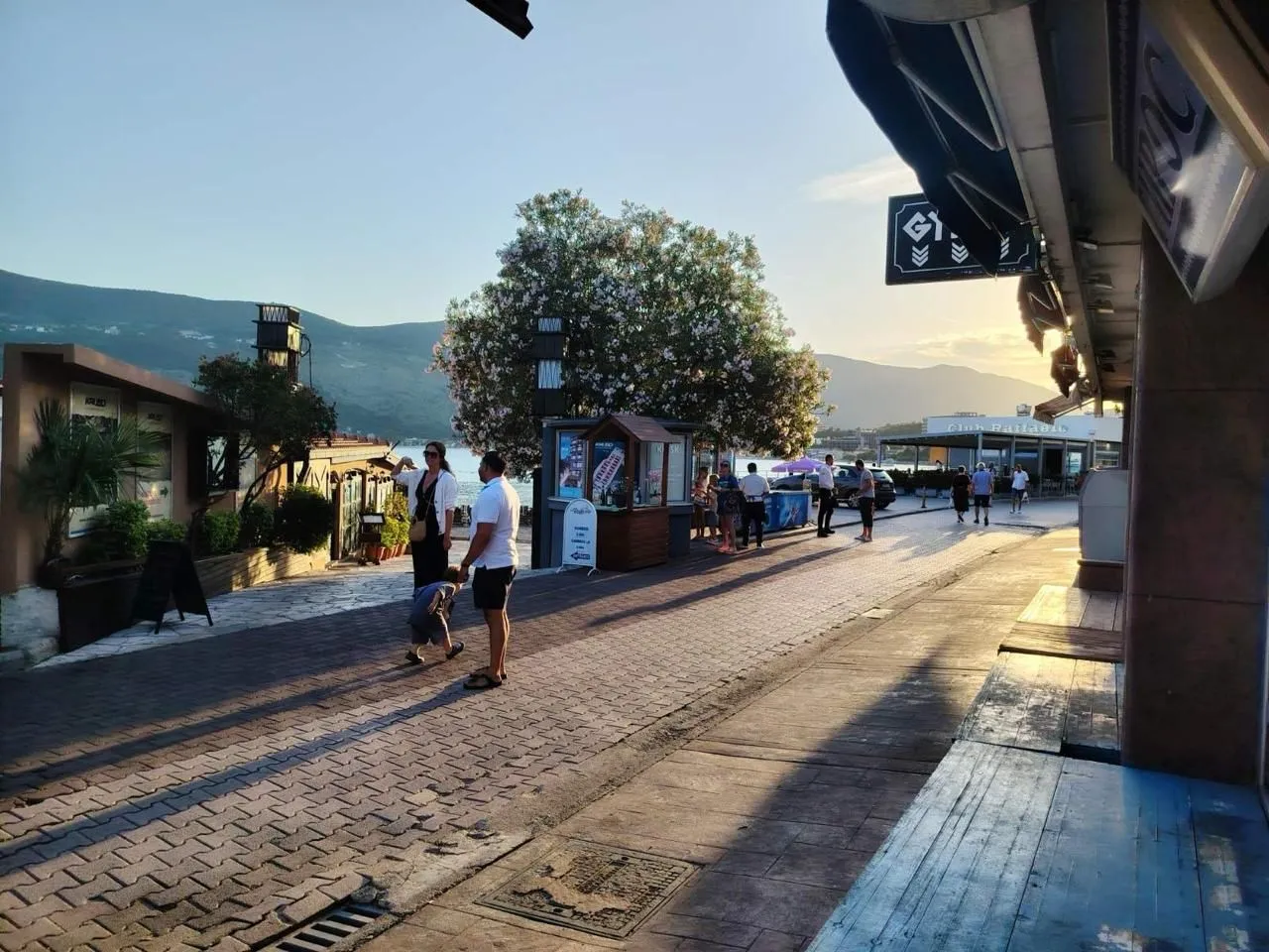 View of a paved waterfront promenade with trees and buildings in the background.