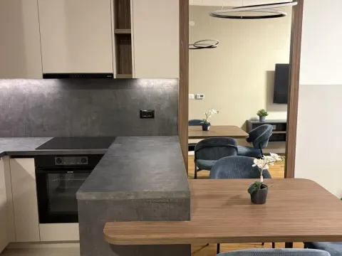 Rent, two bedroom apartment, 40m², Grbavica, Novi Sad Sve Podlokacije - image 10