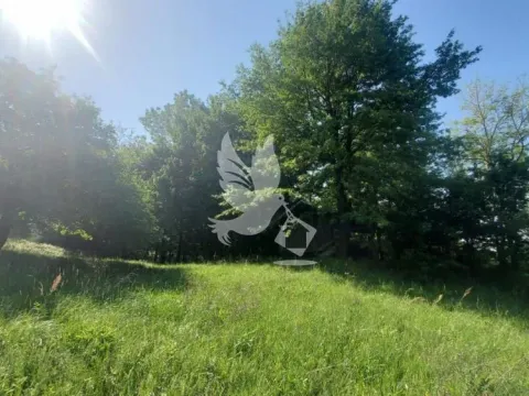 Prodaja, plac, 23000m², Mladenovac, Beograd - image 13