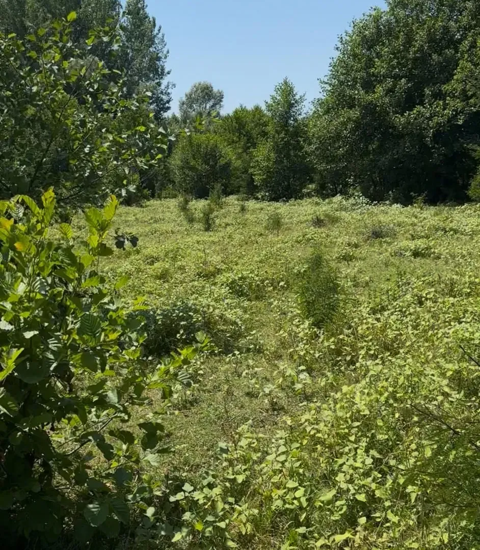 Prodaja, plac, 330m², Žabljak, Crna Gora