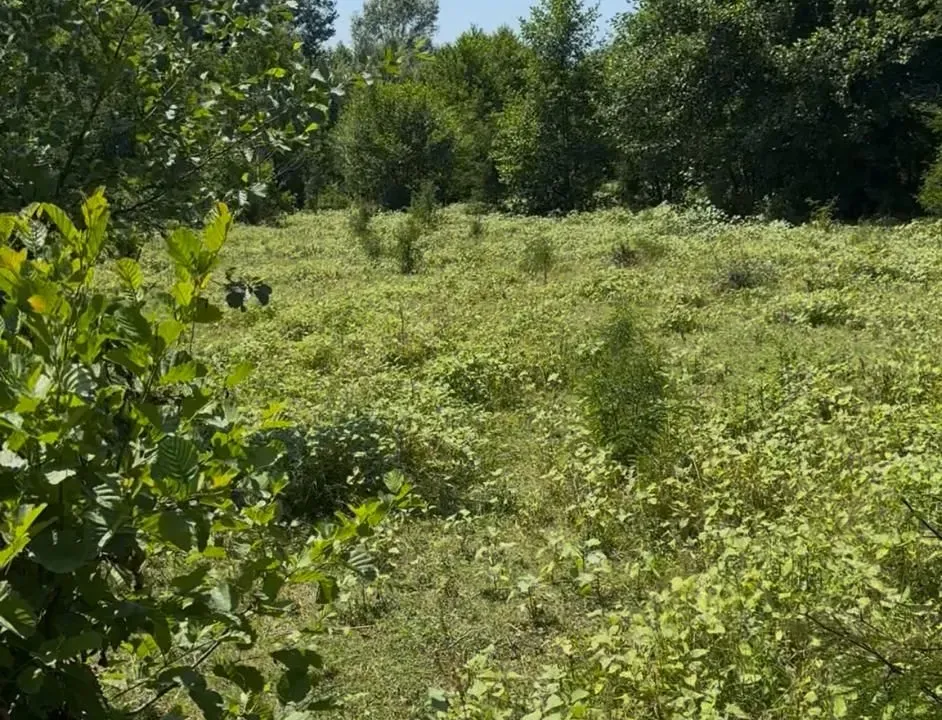 Sale, land lot, 330m², Žabljak, Crna Gora