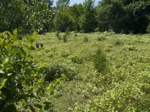 Sale, land lot, 330m², Žabljak, Crna Gora