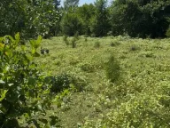 Sale, land lot, 330m², Žabljak, Crna Gora - image 1