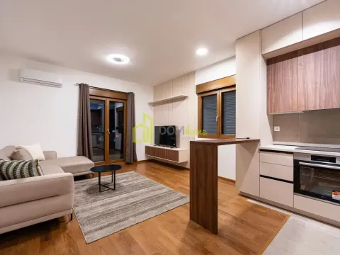 Izdavanje, jednosoban stan, 45m², Zagorič, Podgorica - image 5