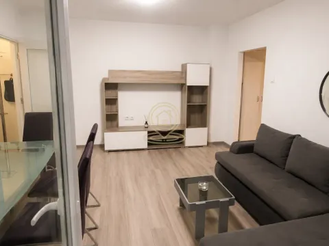 Izdavanje, dvosoban stan, 45m², Tašmajdan, Palilula Sve Podlokacije - image 1