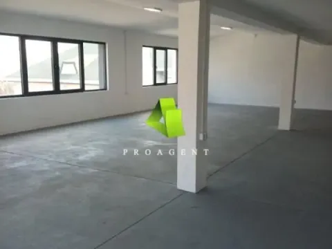 Rent, office space, 410m², Crveni Krst, Niš - image 11