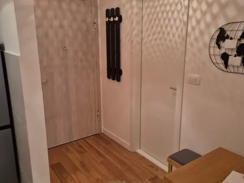 Izdavanje, jednosoban stan, 40m², Central Point, Podgorica - image 6