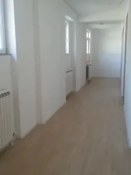 Izdavanje, poslovni prostor, 240m², Zemun Sve Podlokacije, Beograd - image 11