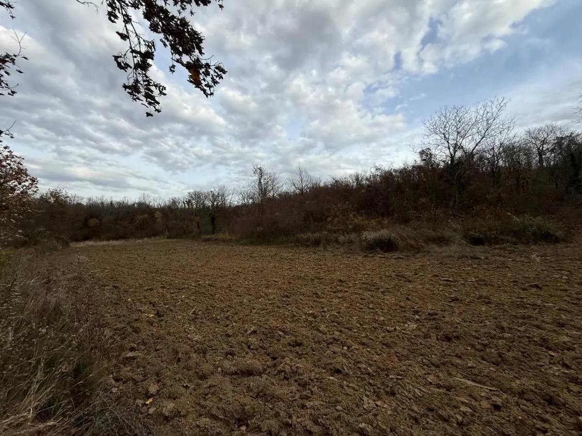 Prodaja, plac, 24207m², Beočić, Rekovac