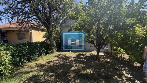 Zeleno dvorište sa drvećem i kućom u pozadini. - image 30