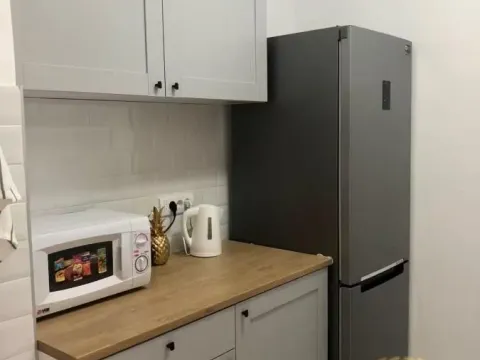 Rent, one bedroom apartment, 48m², Novi Beograd Sve Podlokacije, Beograd - image 7