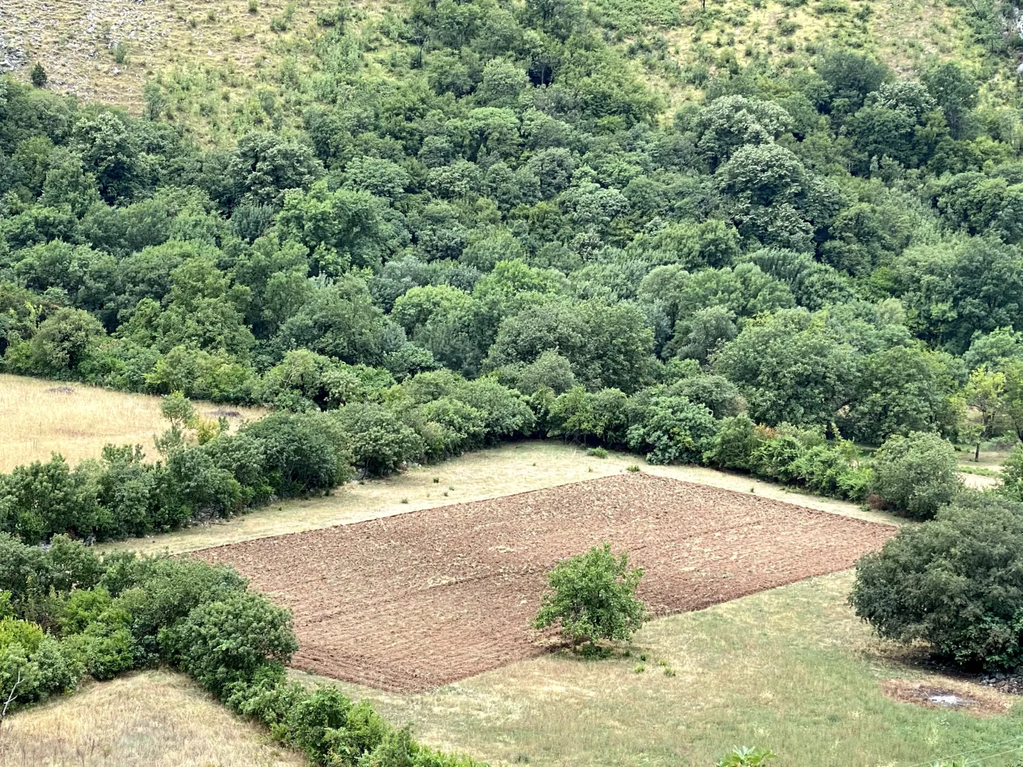 Pogled odozgo na obrađeno zemljište okruženo šumom i rastinjem.
