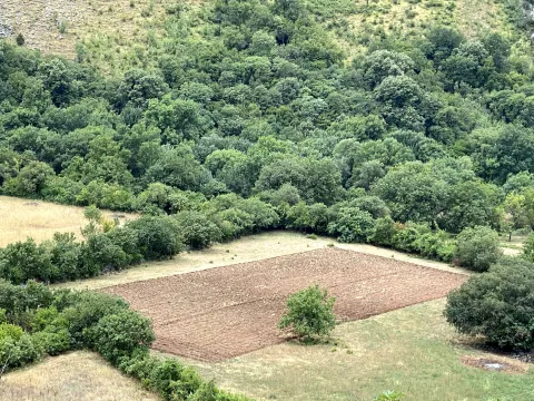 Pogled odozgo na obrađeno zemljište okruženo šumom i rastinjem. - image 5