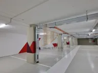 Izdavanje, poslovni prostor, 1400m², Veternik, Novi Sad Sve Podlokacije - image 9