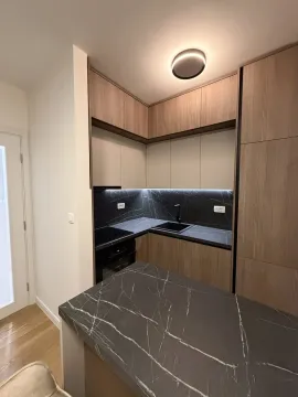 Moderna kuhinja sa tamnim radnim površinama i drvenim elementima. - image 4