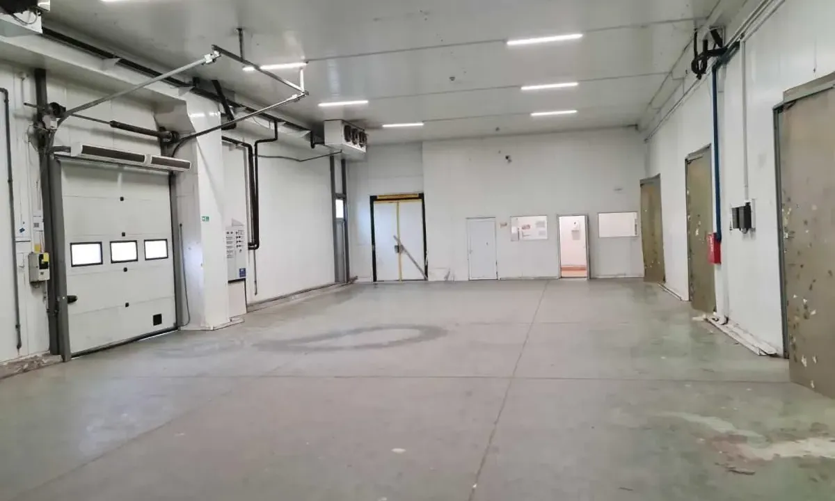 Izdavanje, poslovni prostor, 800m², Šimanovci, Pećinci