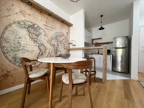 Rent, one bedroom apartment, 41m², Central Point, Podgorica - image 3