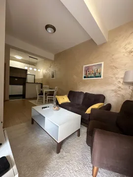Stan-na-dan, jednosoban stan, 43m², Zabjelo, Podgorica - image 15