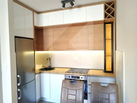 Izdavanje, jednosoban stan, 45m², Tuški Put, Podgorica - image 4