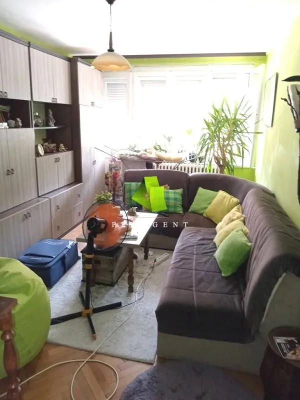 Rent, one bedroom apartment, 43m², Palilula, Niš