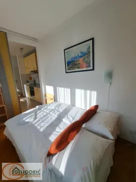 Izdavanje, jednosoban stan, 30m², Savski Venac, Beograd - image 5