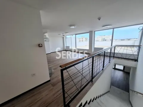Izdavanje, poslovni prostor, 314m², Liman 3, Novi Sad Sve Podlokacije - image 18