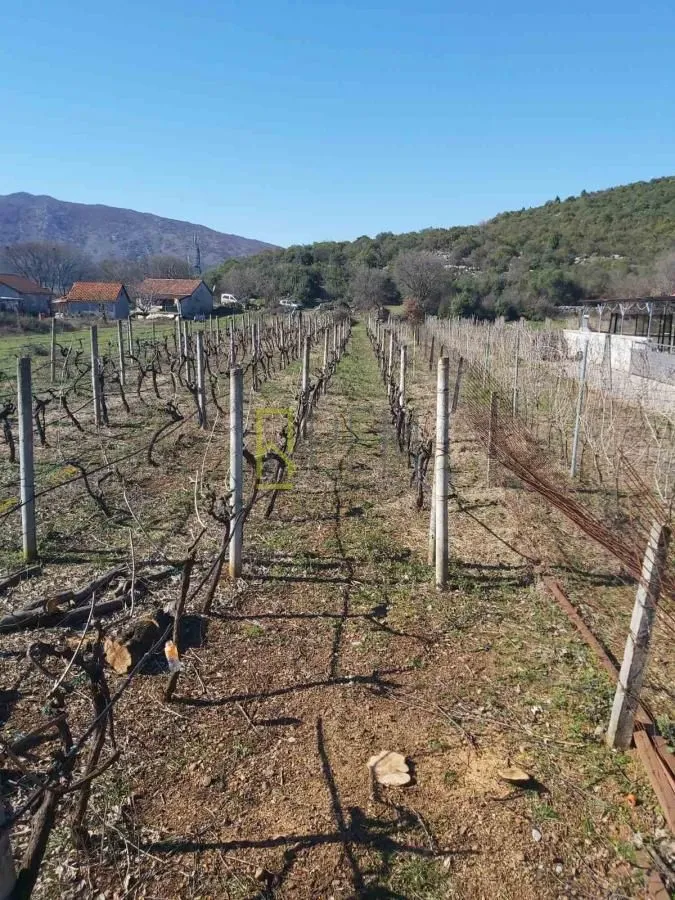 Prodaja, plac, 1500m², Beri, Podgorica