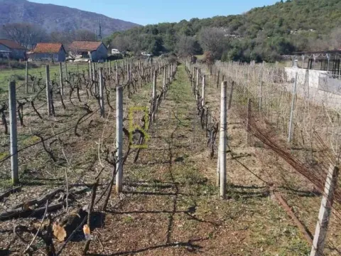 Prodaja, plac, 1500m², Beri, Podgorica - image 2