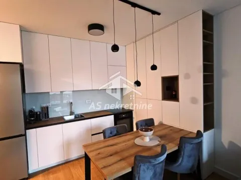 Izdavanje, dvosoban stan, 47m², Vračar Sve Podlokacije, Beograd - image 3