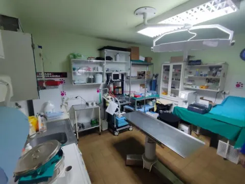 Sale, office space, 87m², Dudova Šuma, Subotica - image 6