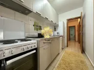 Izdavanje, jednosoban stan, 52m², Blok 9, Podgorica - image 9