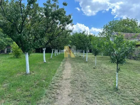 Prodaja, plac, 227m², Novi Bečej, Zrenjanin - image 2