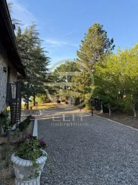 Popločano dvorište sa stazom, ukrasnim rastinjem i drvećem pored kuće. - image 24